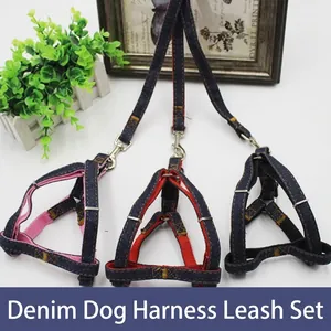 Detail view of denim pet harness set with I-shaped structure and metal buckles