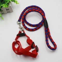 Detail of red nylon cat harness set with red and blue braided leash and metal hook