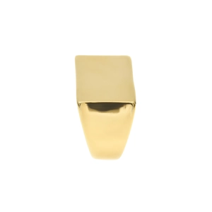 Macro view of polished gold stainless steel signet ring with smooth rectangular face