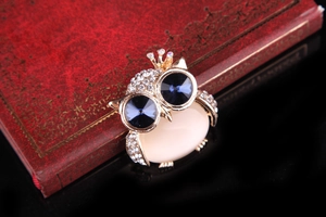 Detail of owl brooch with golden alloy, white crystals, and blue gem eyes on a red book
