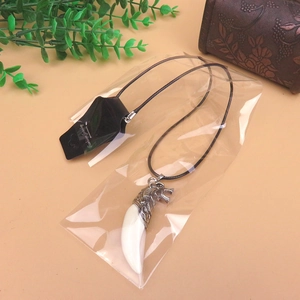Detail of wolf head tooth pendant necklace with retro resin horn and black leather cord