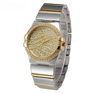 Macro shot of diamond-encrusted bezel and silver-gold steel band on this luxury watch