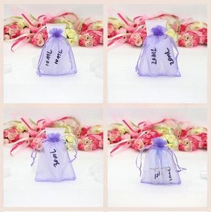 Travel set with purple organza bag and clear squeeze tubes for lotions and sprays