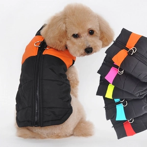 Detail of dog vest with dual D-ring harness and orange-black zipper closure