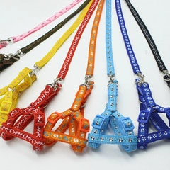 Detail view of nylon cat harness and leash set available in eight vibrant assorted colors