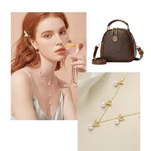 Detail of dark brown monogram crossbody bag with adjustable strap and designer chain