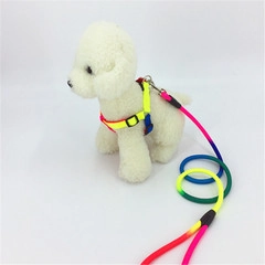 Close-up of rainbow gradient pet harness set with adjustable buckle and thick woven leash