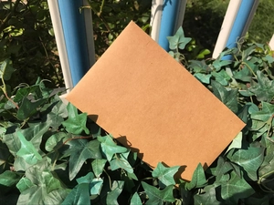 Brown 300g kraft paper envelope displayed outdoors against green ivy leaves background