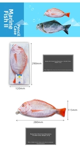 Detail of realistic fish pencil case showing digital print fabric and zip closure