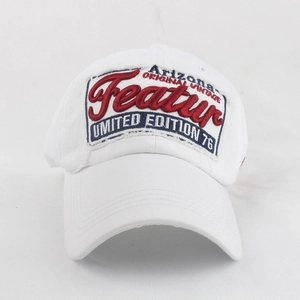 Detailed multi-color Featur embroidery on retro white washed cotton baseball cap