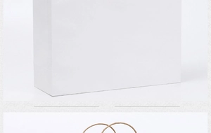 Detail shot of a clean white kraft paper shopping bag with sturdy brown twisted handles