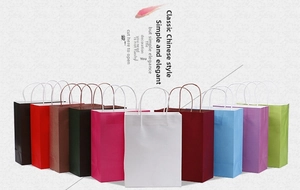 Detailed row of colorful kraft paper gift bags with white sturdy handles in ten vibrant shades