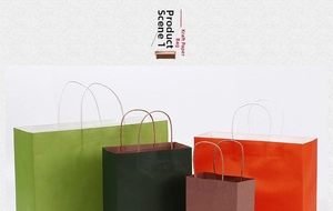 Detailed view of colorful kraft paper gift bags with sturdy twisted handles in various sizes