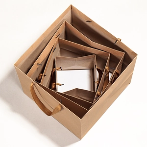 Brown kraft paper flower gift bags with silk handles in multiple sizes on white background
