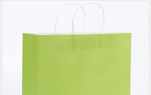 Close-up of green kraft paper bag with white twisted paper handles for gift and shopping