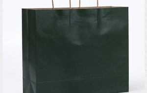 Detail of a dark green kraft paper shopping bag featuring durable twisted rope handles