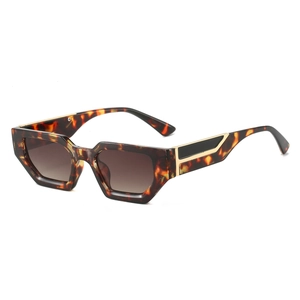 Retro tortoise shell sunglasses with dark hexagonal lenses and gold temple accents