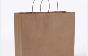 Detail of a brown kraft paper shopping bag with reinforced twisted paper handles