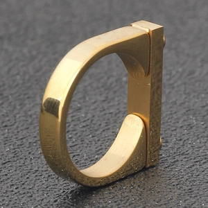 Close-up of a polished gold D-ring buckle with removable screw bar for DIY luggage