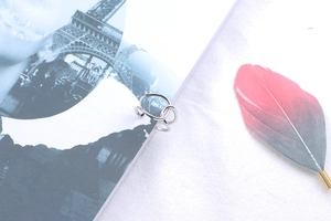 Detail shot of a cross-line S925 sterling silver ring on a magazine with a feather