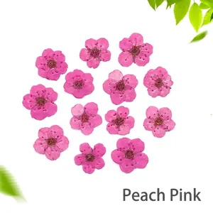 Macro shot of peach red dried flowers for DIY resin art and nail decoration craft
