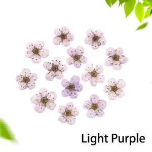 Macro detail of 13 pieces of light purple dried flowers for resin DIY crafts
