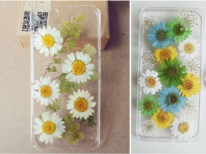 Detailed comparison of transparent phone cases with real dried white daisies and colorful flowers