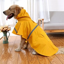 Detail of yellow waterproof pet raincoat with reflective safety strip for large dogs