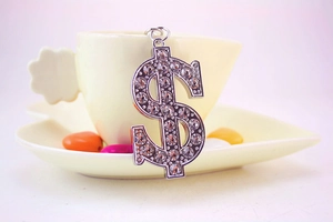 Detail of silver dollar sign keychain with sparkling rhinestones on decorative plate