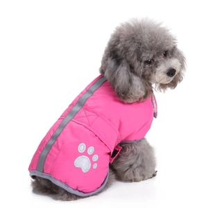 Pink pet vest on poodle dog showing reflective strips and silver paw print embroidery