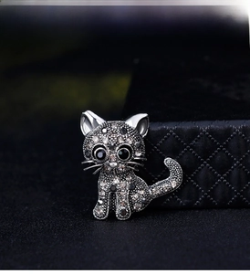 Detailed macro shot of a crystal cat brooch with silver plating on a jewelry box