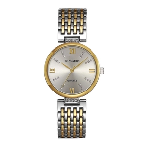 Detail shot of a luxury two-tone steel watch featuring diamond accents and Roman numerals