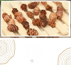 Macro detail of natural dried pine cones for rustic home decor and photography props