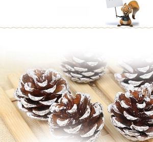 Macro detail of natural pine cones with frosted white snow tips for Christmas decor