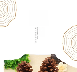 Detailed view of natural dried pine cones with authentic woody texture and brown scales
