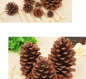 Macro shot of assorted natural pine cones on rustic burlap with dried floral accents