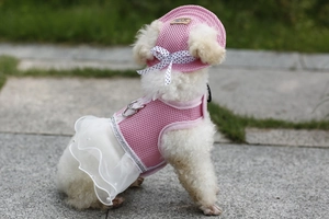 Close-up of pink breathable mesh dog dress with lace trim and sun hat on a poodle