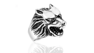 Gros plan détaillé de la bague tête de loup argentée rétro avec textures ciselées