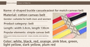 Detail of 3.8cm wide cotton canvas belt showing D-ring buckle and various color options