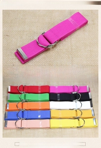 Detail of high-density canvas belts with polished double D-ring buckles in ten vibrant colors