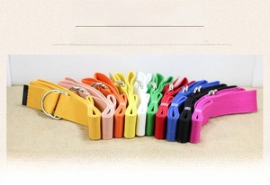 Detail view of multi-color canvas belts featuring polished silver metal D-ring buckles