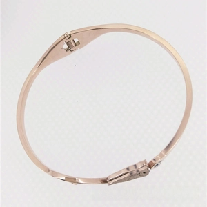 Detail of rose gold bangle featuring an eagle emblem and a small sparkling crystal