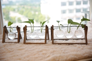 Three-tier wooden stand with bulb glass vases for hydroponic plants on a windowsill