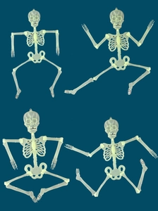 Detailed view of four adjustable luminous skeleton figures in dynamic poses for Halloween
