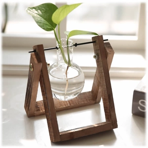Minimalist clear glass bulb vase on single wooden stand for hydroponic plants