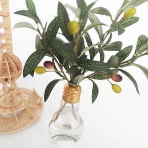 Creative bulb glass vase with olive branch and fruits on a clean white background