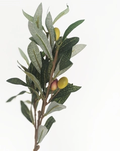 Detailed macro view of artificial olive branch with green leaves and colorful fruits