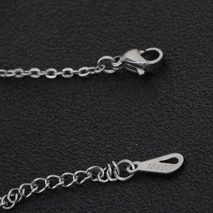 Macro view of 18KGP lobster clasp and extension chain on stainless steel necklace