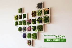 Wall-mounted heart-shaped succulent photo frame collage with lifelike artificial plants