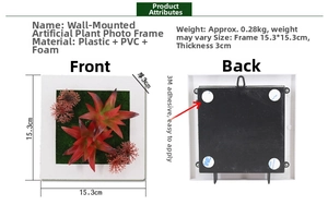 Wall-mounted artificial succulent frame showing white plastic casing and 3M adhesive back